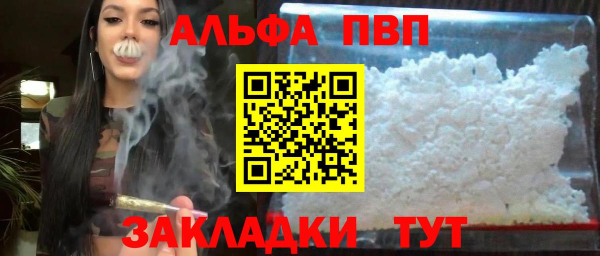 Alfa_PVP СК Коряжма