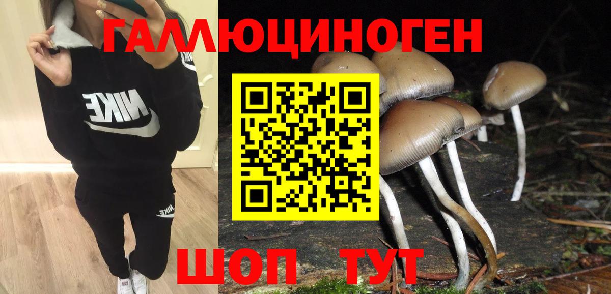 Псилоцибиновые грибы ЛСД  Вход с VPN  Коряжма 