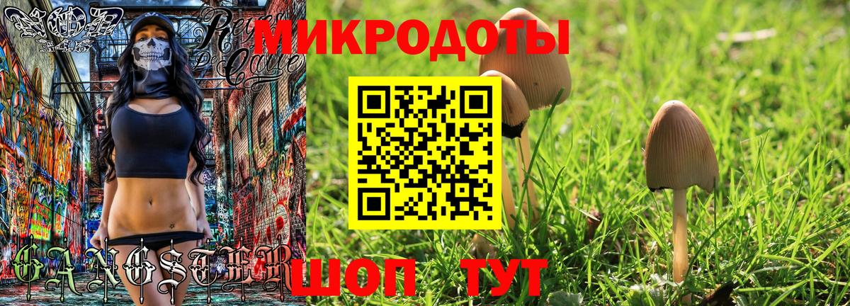 Галлюциногенные грибы MAGIC MUSHROOMS Коряжма